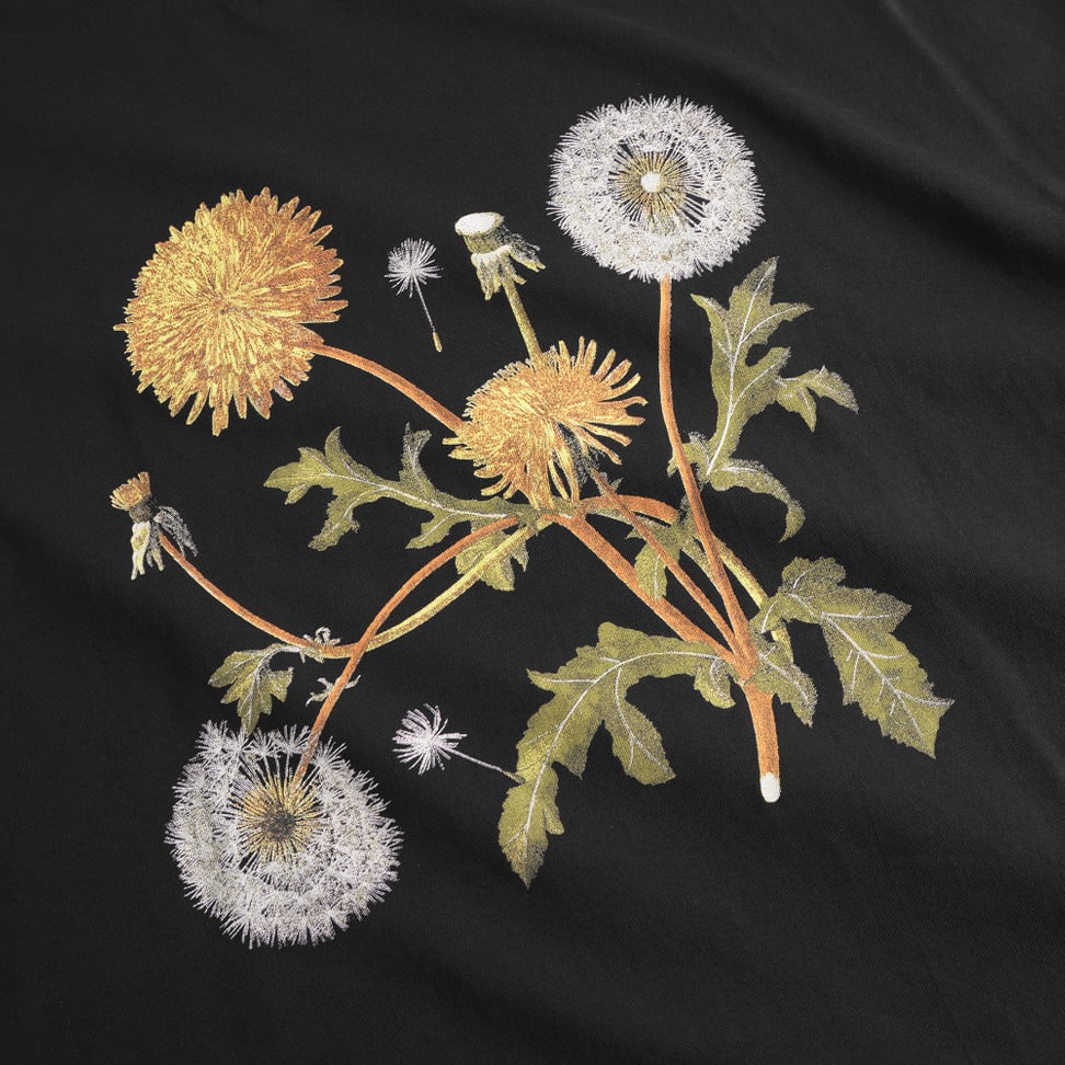 Visby T-Shirt – Figurbetontes Bio Baumwolle Shirt mit Print