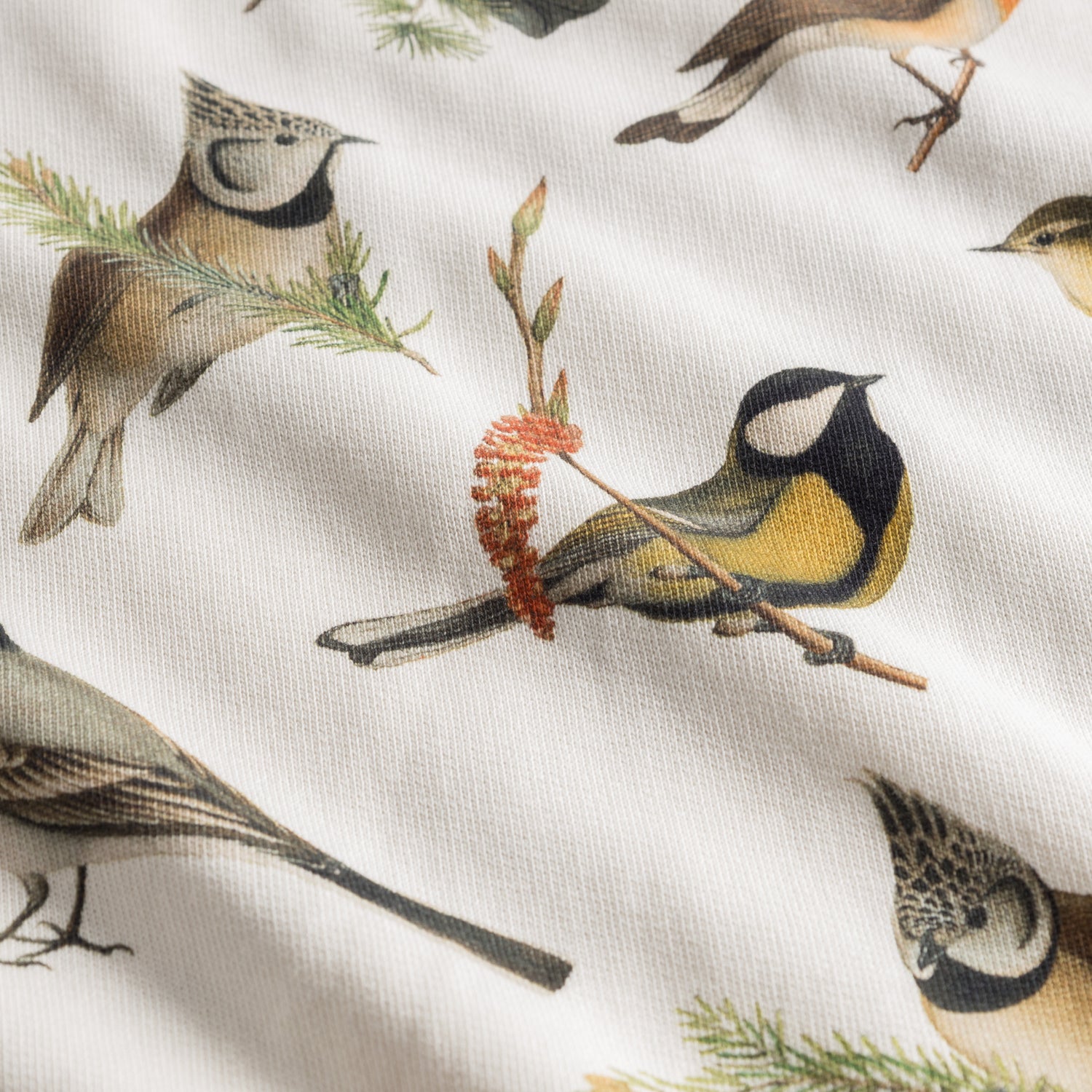 Sweatshirt „Autumn Birds“ – nachhaltiges Damen-Sweatshirt aus Bio-Baumwolle
