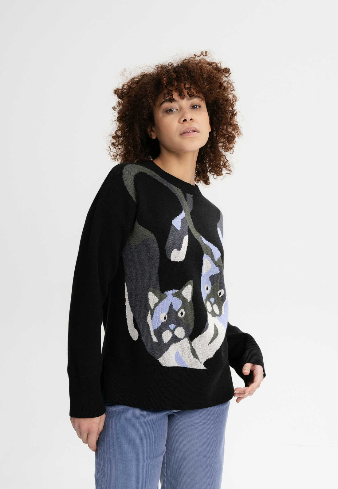 Jacquard Strickpullover FAIZA CATS